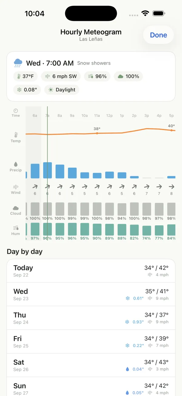 Hourly meteogram for a resort